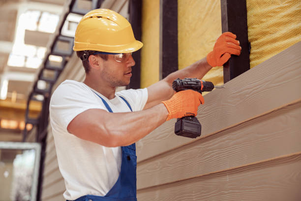 Best Stone Veneer Siding  in Augusta, KY