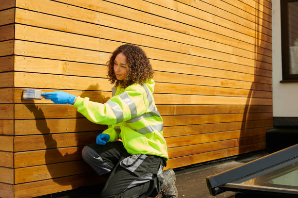 Best Fascia and Soffit Installation  in Augusta, KY