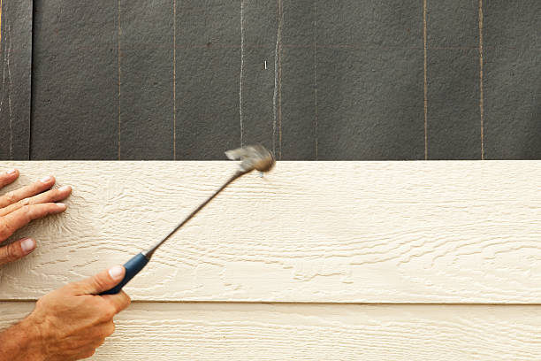 Best Siding Removal and Disposal  in Augusta, KY